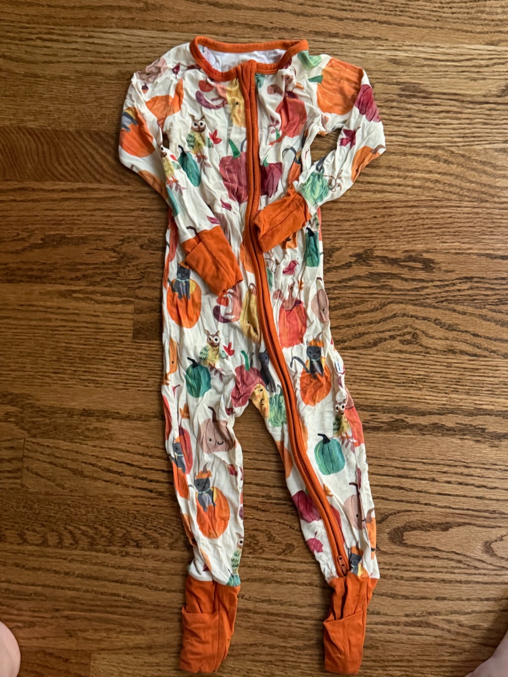 Little Sleepies Pumpkin Pals pajamas